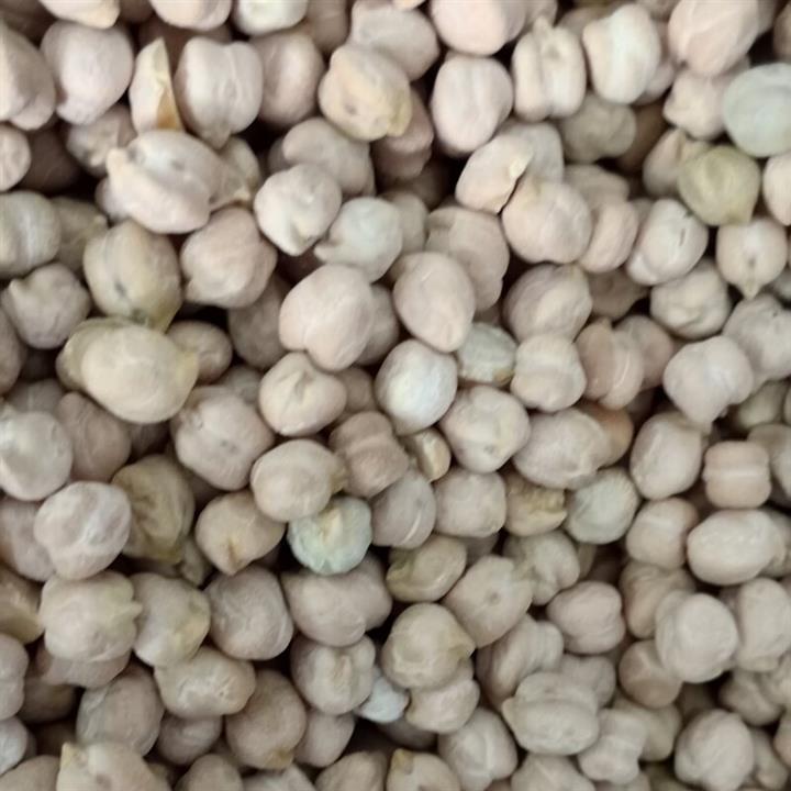 نخود فله ای
