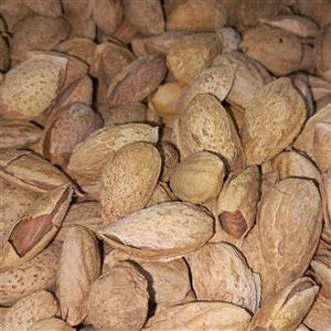 بادام ممتاز فوق کاغذی خام و شور(فلخ بادام)