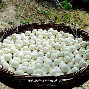 کشک گاو (فراورده های طبیعی ایلیا )