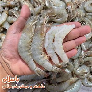 میگو پرورشی سایز درشت 40 - 50  بصورت تازه