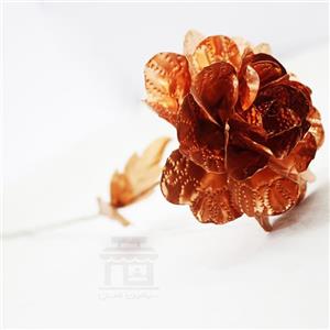 گل مسی سیمین مس