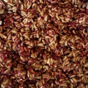 دانه انار خشک 100 گرم