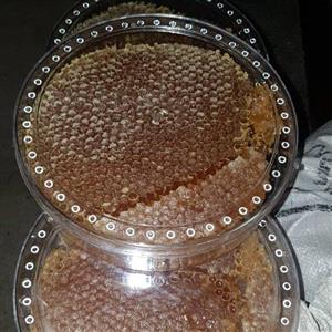 عسل باموم وشهد