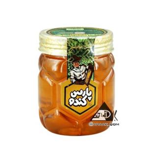 عسل 1000 گرمی پارس خمین