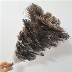 گردگیر پر شترمرغ مدل طبقاتی