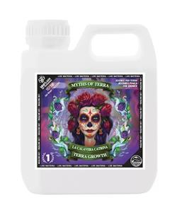 کود لا کالاورا کاترینا ترا پاور | Terra Power - La Calavera Catrina