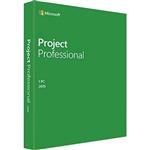 project 2019 professional