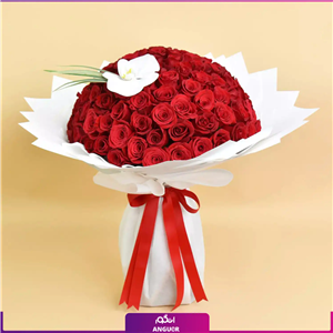 NM850 (طرح بین الملل کلاسیک)