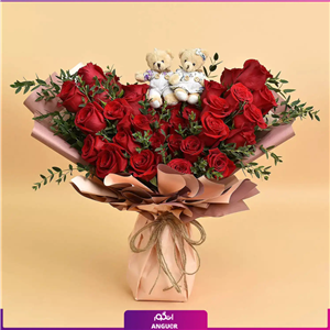 W480 (طرح بین الملل کلاسیک)