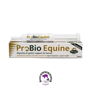 خمیر پروبیوتیک اسب ProBio Equine 