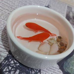 ظرف ماهی رزینی مناسب هفت سین