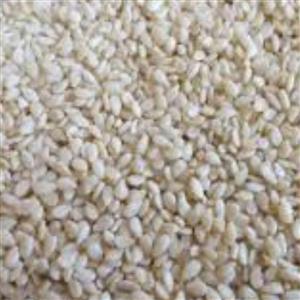 بازرگانی نظری ( کنجد سفید 100 گرم )