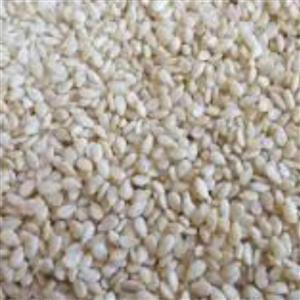 بازرگانی نظری ( کنجد سفید 1000 گرم ) یک کیلو