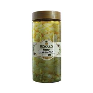 صمغ سندروس(100گرمی)