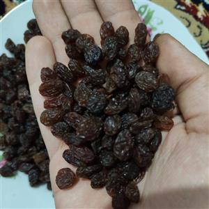 کشمش بیدانه تاکستان پاک شده بدون دم عالی