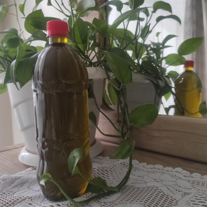 روغن زیتون با بو