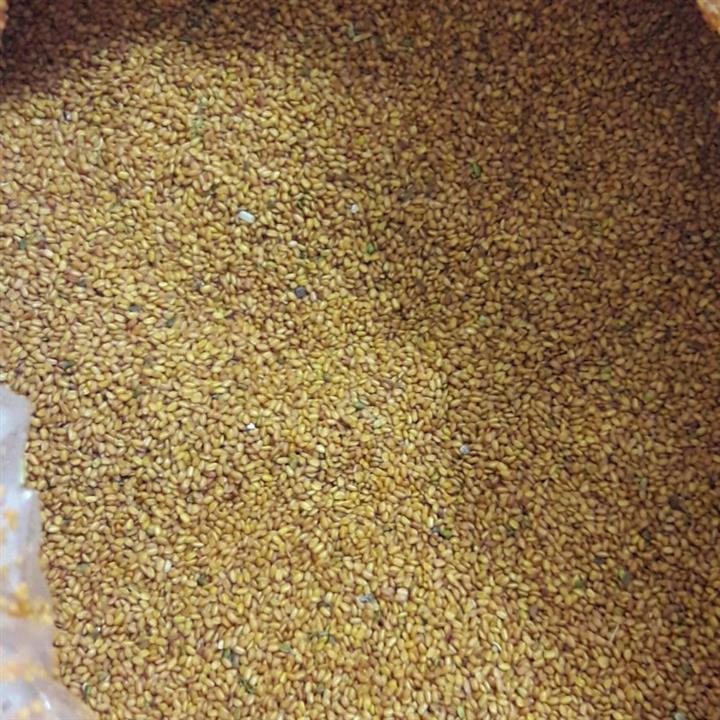 خاکشیر فله ای