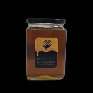 عسل آویشن 850 گرم