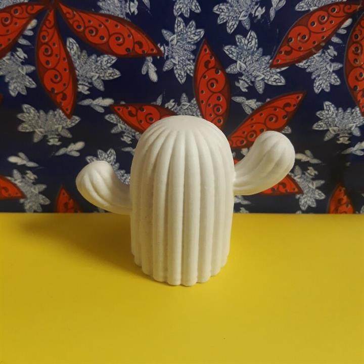 بیس خام کاکتوس