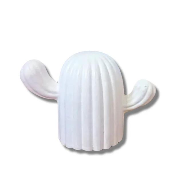 بیس خام کاکتوس