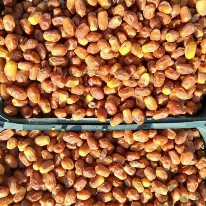 خرما زاهدی فله