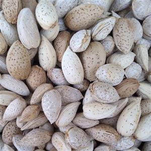 بادام شیرین درجه یک (نیم کیلو) 