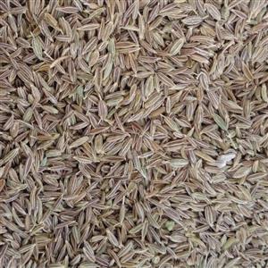 زیره سبز قاینات 500 گرمی بسته بندی سلفونی