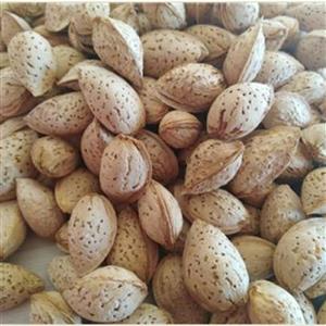 بادام پوست کاغذی (منقا) فله ای