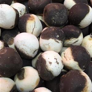 کشک و قره قروت250 گرم