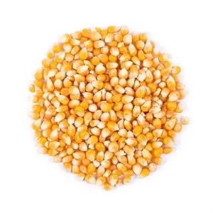 ذرت مخصوص پاپ کرن1000 گرم