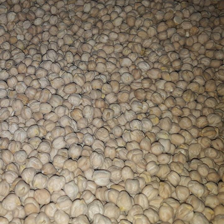 نخود فله ای