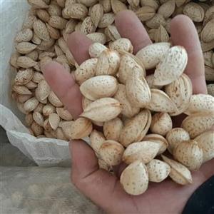بادام پوست کاغذی خام ایرانی