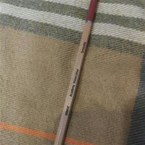 مداد رنگی حرفه ای رنگ بدن درونت