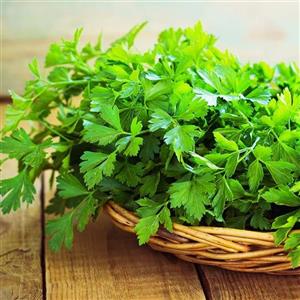 جعفری خشک فله