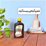 شامپوگیاهی بیست گیاه