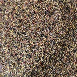 بذر شبدر 75 گرم