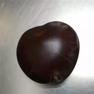 ترکیب گیاهی  کمر