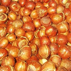 فندق زرین نیم آفتاب خشک الموت قزوین بدون تلخی خالص 400گرم