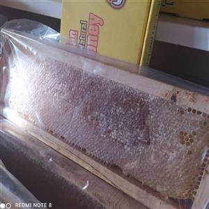 عسل بهاره ییلاق با بهترین نوع زنبور