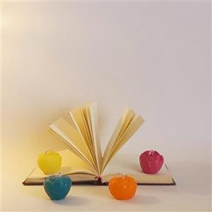 شمع غنچه گل رز بیریاگا