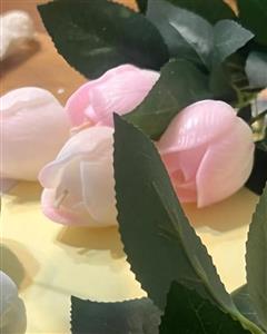 شمع غنچه گل رز بیریاگا