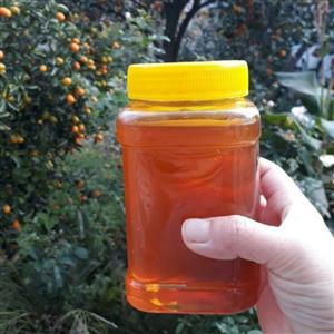 عسل گون ساکارز نیم(1کیلو گرمی)