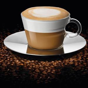 اسانس کاپوچینو پودری درجه یک در بسته بندی 500 گرمی