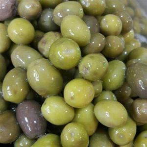 زیتون بادامی امساله