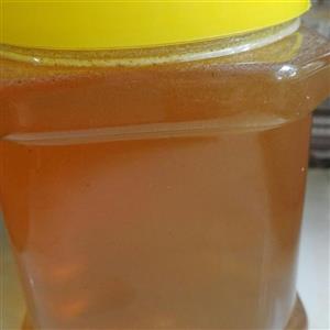 عسل چهل گیاه خوانسار (500gr)