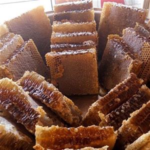 عسل گَون زرد (گَون کتیرایی) موم دار