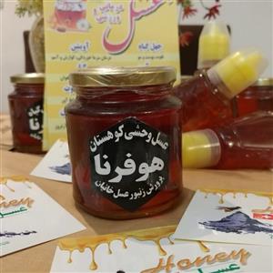 عسل طبیعی و ارگانیک وحشی کوهستان - 400گرمی
