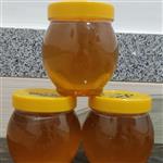 عسل طبیعی از دل کوهستان الوند