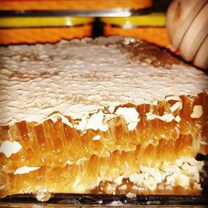 عسل طبیعی با موم بهاره نیم کیلویی