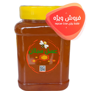 عسل سبلان 1000 گرمی محصولی از دامنه سرسبز سبلان
